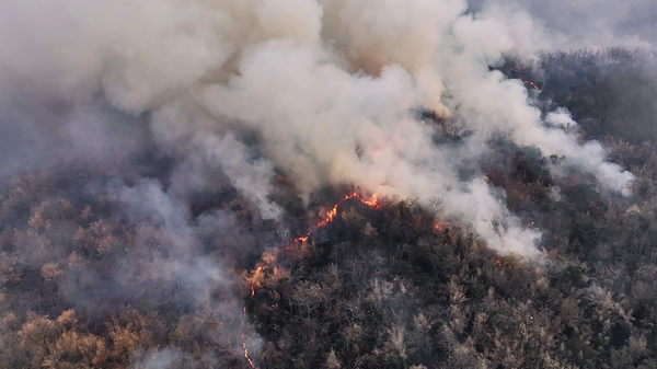 Extrait de la vidéo sur les bons gestes en été pour éviter les départs de feu et incendies.