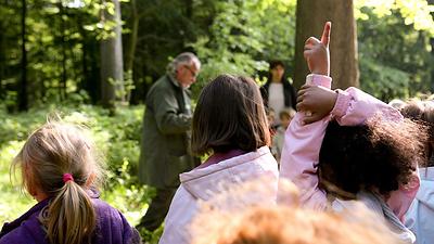 Animation scolaire en bord de mare en forêt domaniale de Port-Royal.