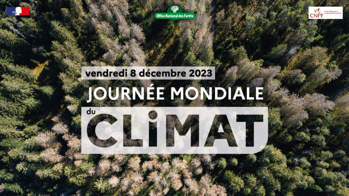 Bannière de promotion de la journée mondiale du climat. Image de forêt, logos de l'ONF et du CNPF.